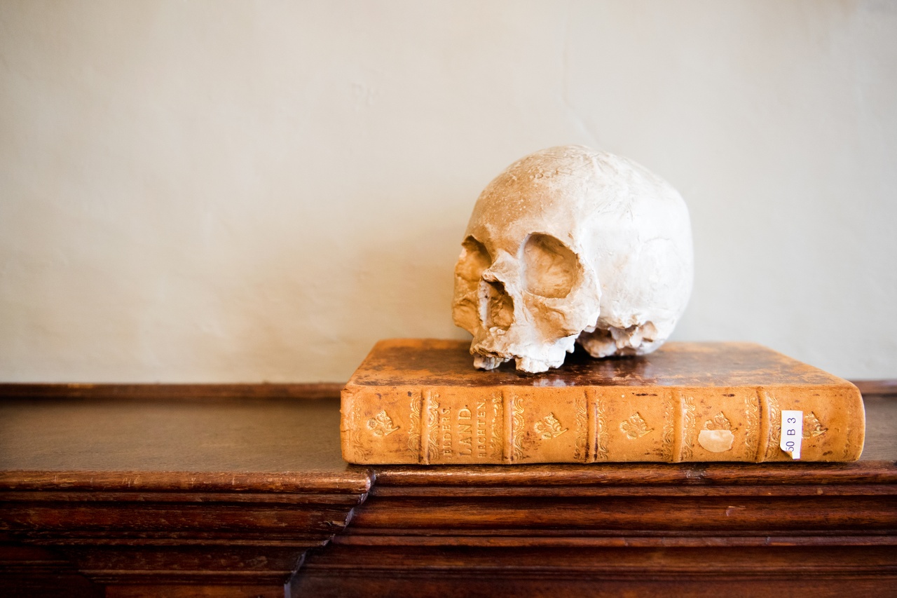 Gipsafdruk van de schedel van Hendrik van Gelre